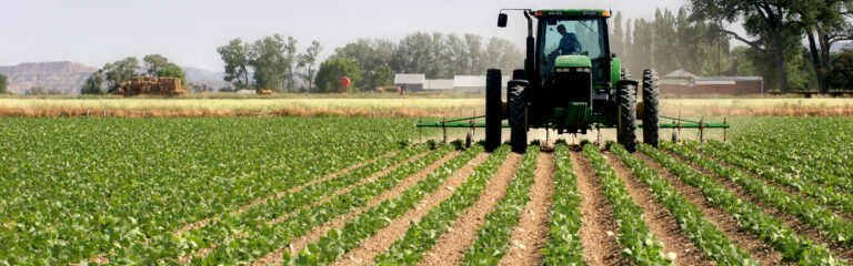 agricultura, fonduri europene, 2014-2020, ,fonduri nereambursabile, mici fermiceri, exploatatii agricole, pomicole, tineri fermieri, ferme mici, Gal, producatori, PNDR