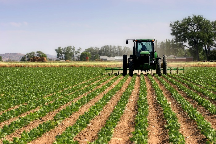 agricultura, fonduri europene, 2014-2020, ,fonduri nereambursabile, mici fermiceri, exploatatii agricole, pomicole, tineri fermieri, ferme mici, Gal, producatori